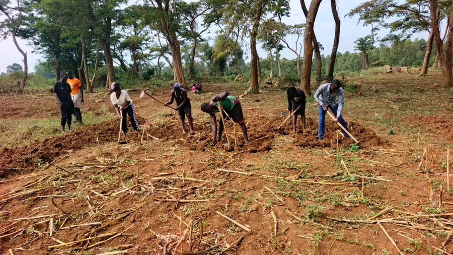 Land preparation for a demonstration farm plot