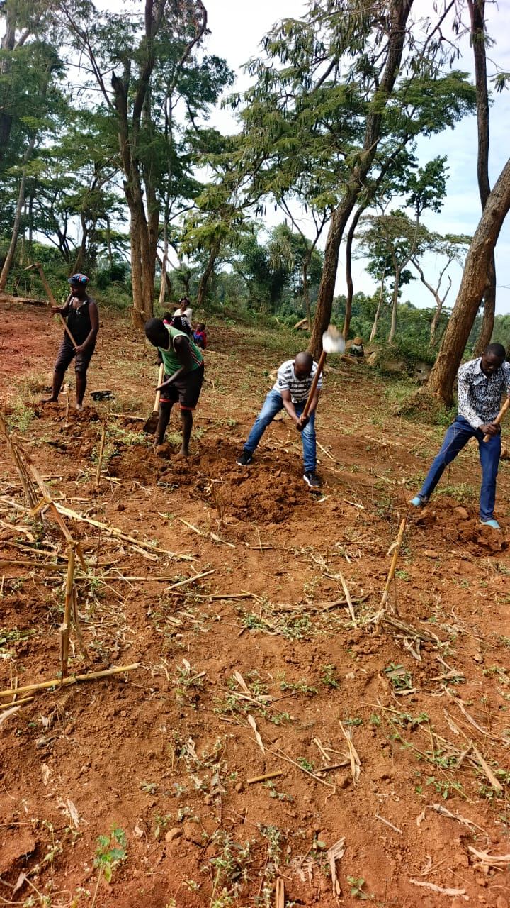 Youth clearing land for a farm plot