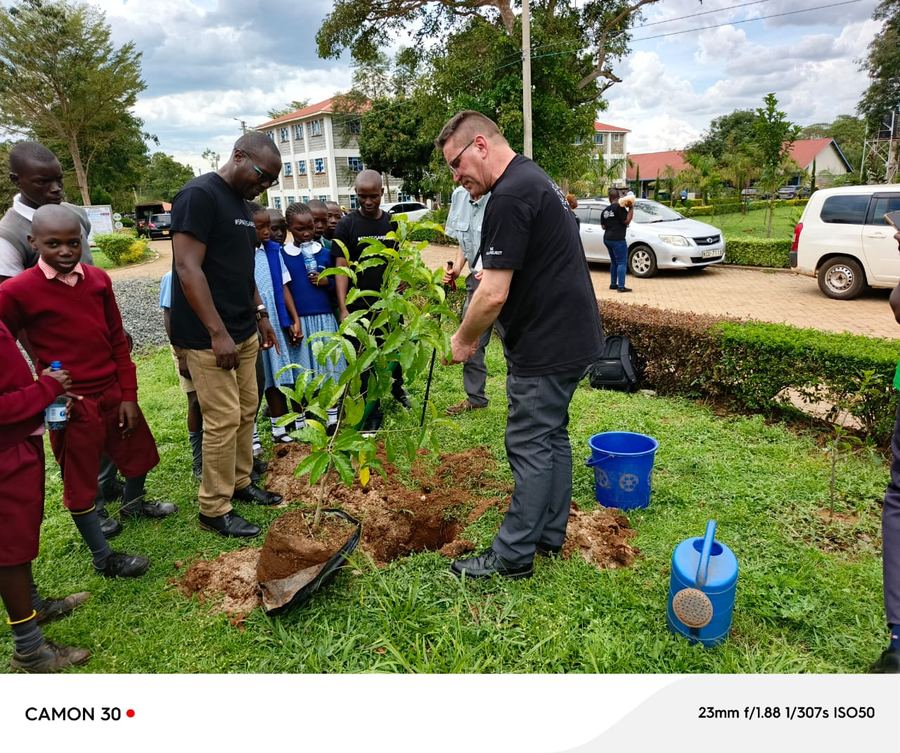 Tree planting activity